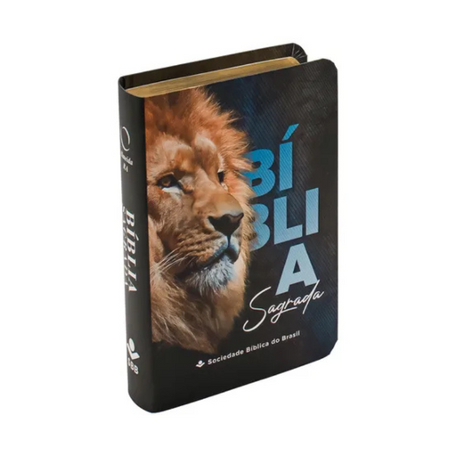 Bíblia Sagrada Naa - Edição De Bolso 