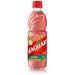 Suco Concentrado de Goiaba MAGUARY 500ml BrasilinBox
