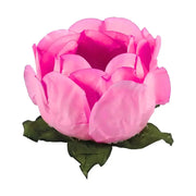 Forminhas Princesa para Doces Finos - 30 unidades 